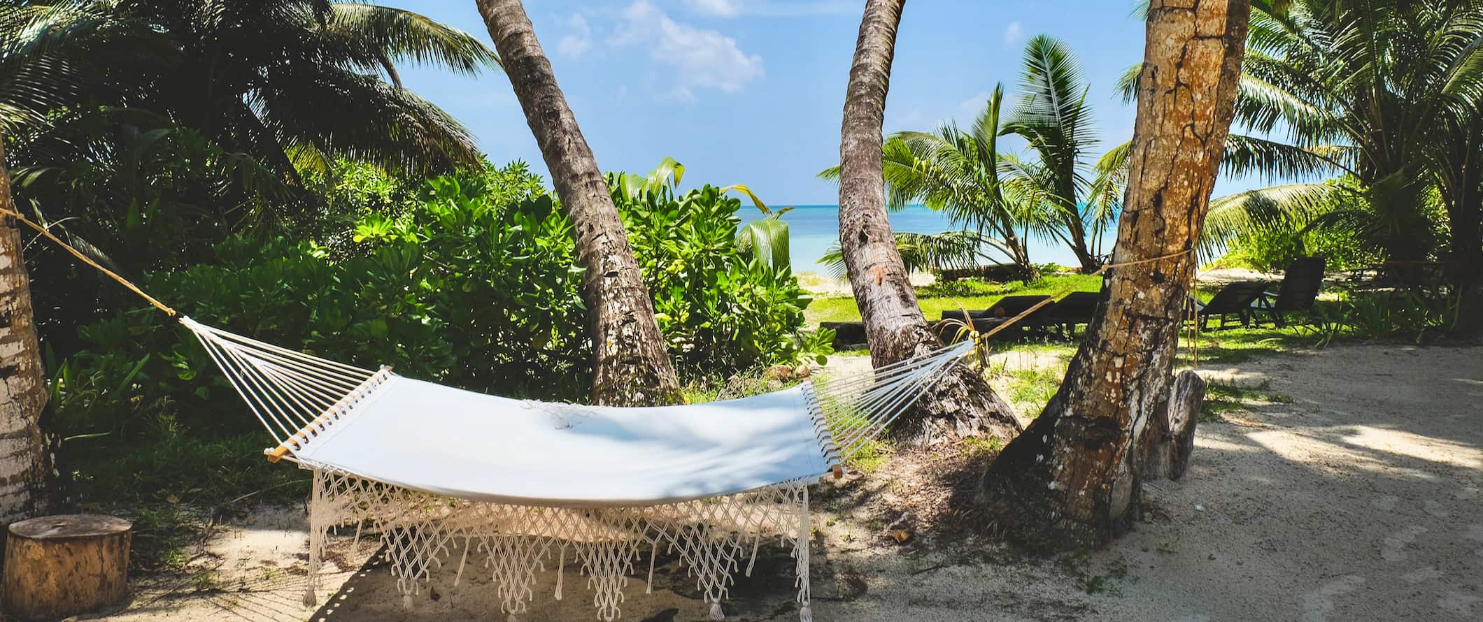 Uma praia tropical com uma rede instalada nas Seychelles com areia branca e um céu azul brilhante acima da cabeça