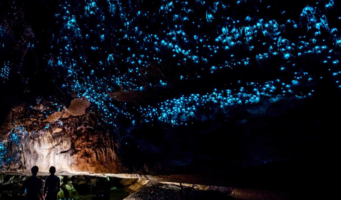 As silhuetas das pessoas que olham para as luzes azuis de estrela de vermes luminosos nas cavernas de Whitomo, Nova Zelândia