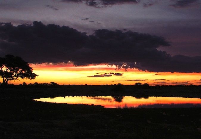 Sunset deslumbrante no Parque Nacional de Etosha, Namíbia