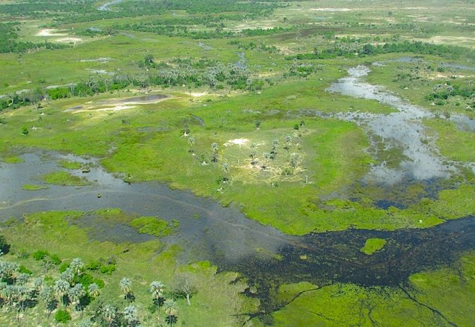 Delta do Okavango, Botsuana