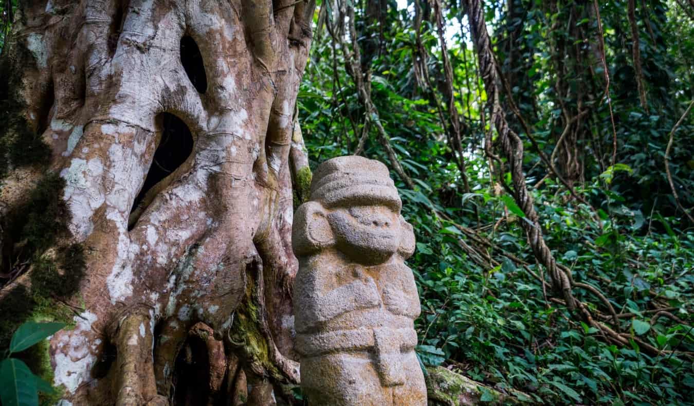 Uma antiga estátua da era pré-colombiana na floresta tropical ao lado de uma velha árvore com grandes raízes.