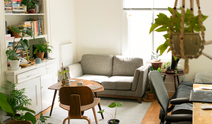 Apartamento aconchegante com um sofá e plantas suspensas