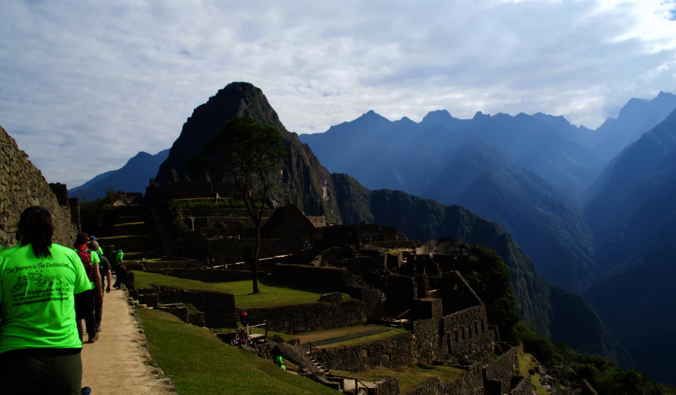 Turistas de pé em camisas verdes com alpaks em excursões para Machu-Picchu no Peru
