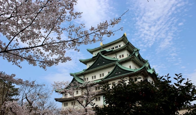 Castelo japonês tradicional cercado por árvores e céu azul brilhante