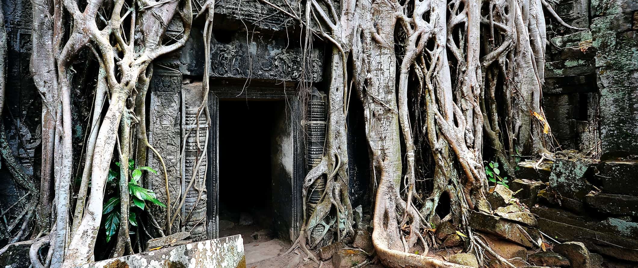 Uma porta coberta de vegetação com grandes raízes de árvores ao redor no complexo do templo Ta Prohm em Angkor Wat, no Camboja