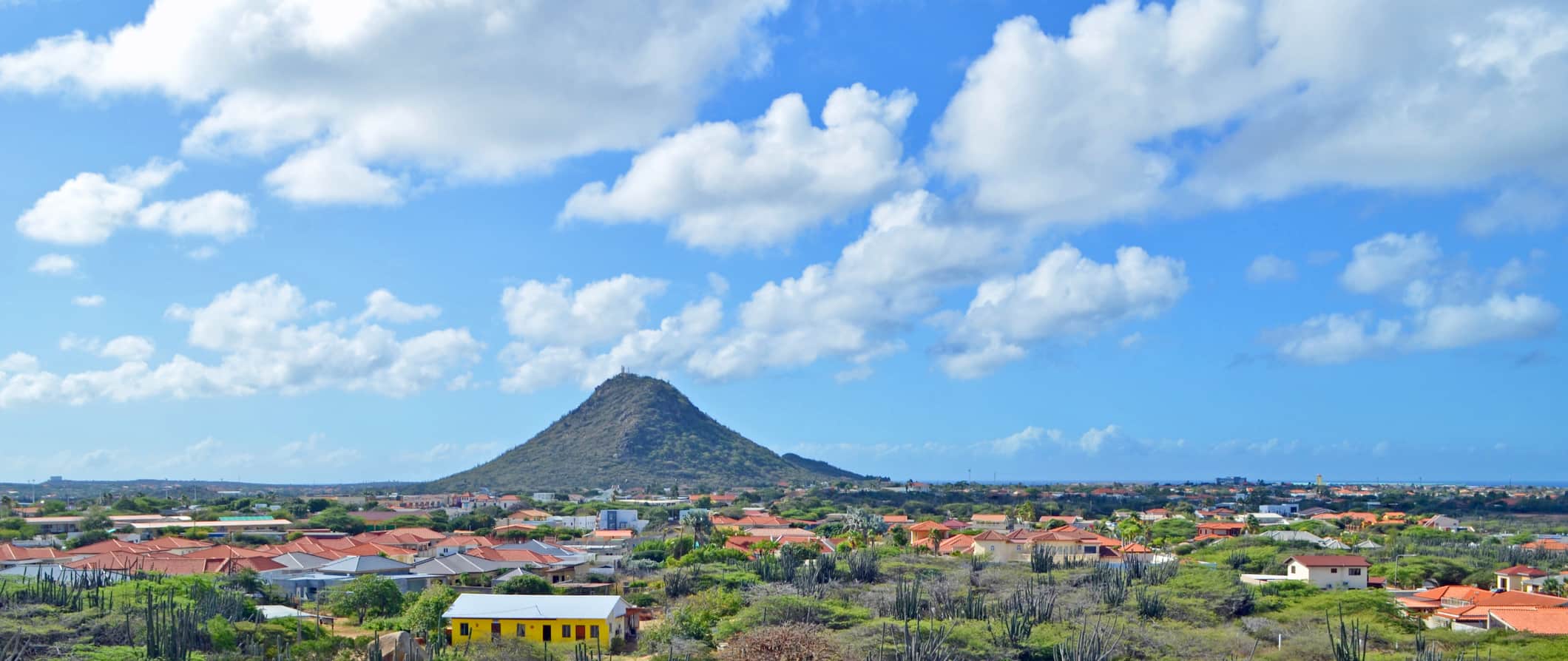 Lonely Hill Huibieberg, elevand o-se à distância em Aruba