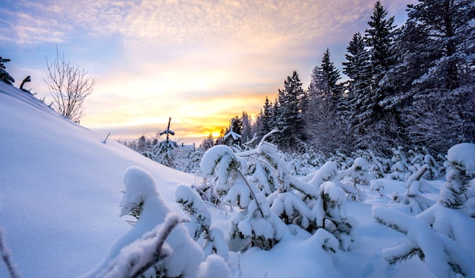 Árvores cobertas de neve e lindo céu em Yllas, Finlândia