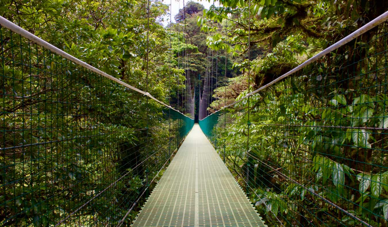 Ponte vazia nas florestas nubladas de Monteverde, Costa Rica