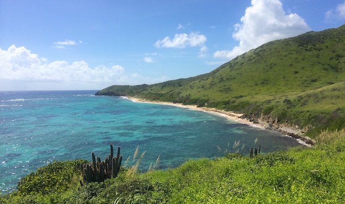 Vista da praia e costa da ilha de Santa Cruz nas Ilhas Virgens