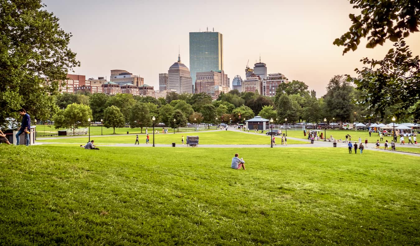 As pessoas estão descansando em grama verde em Ina Boston comum, EUA