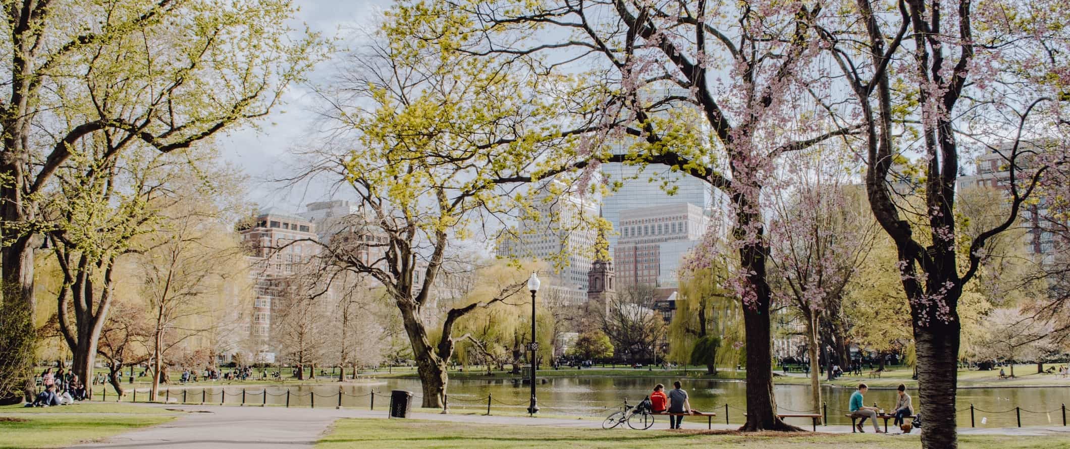 As pessoas senta m-se na lagoa com uma cereja florida e edifícios à distância no jardim público de Boston, em Boston, Massachusetts.