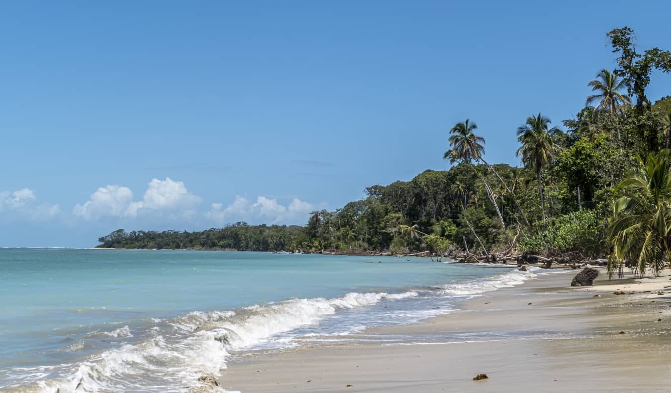 Praia pitoresca com palmeiras no Parque Nacional Cahuita, Costa Rica