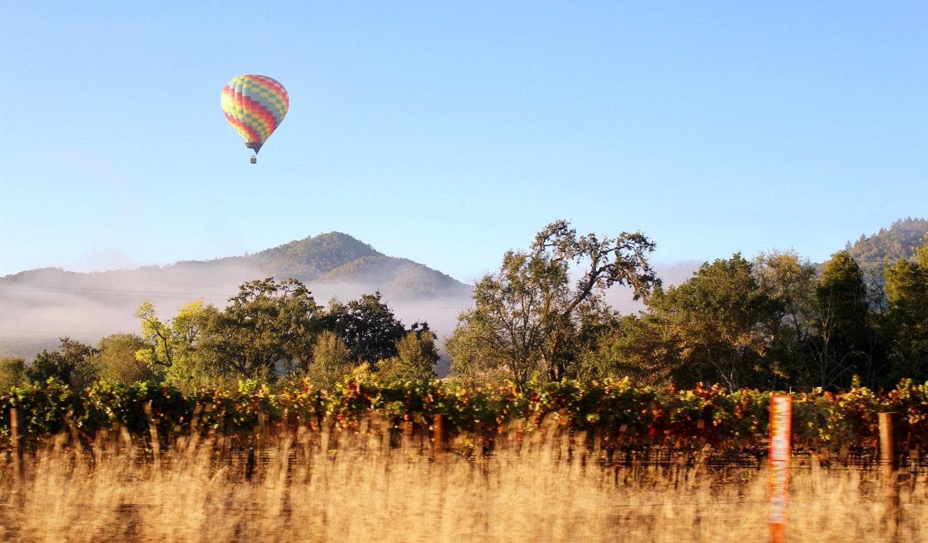 Um balão pairando sobre as vinhas no vale nazista, Califórnia