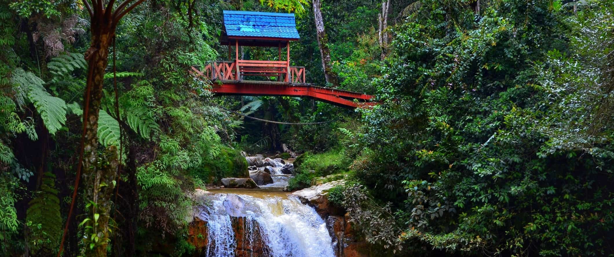 Ponte vermelha atravessando um rio na selva de Cameron Highlands, Malásia
