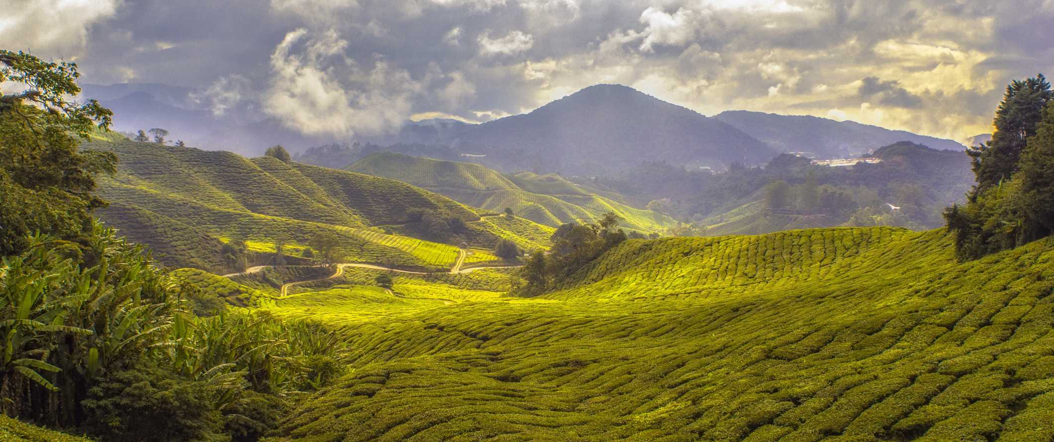 Vista deslumbrante das Terras Altas de Camron, Malásia e suas exuberantes colinas verdes