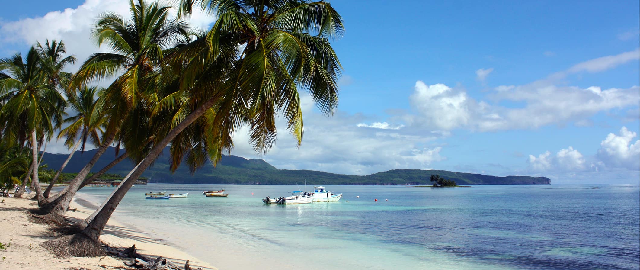 Uma praia intocada nas ilhas das Bermudas com palmeiras verdes magníficas e um céu azul brilhante.
