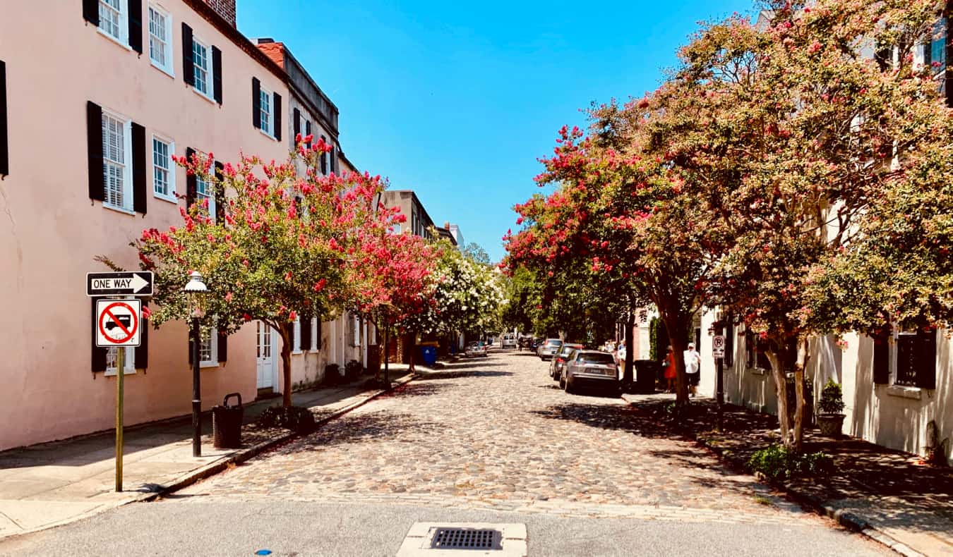 Rua tranquila repleta de árvores em Charleston, EUA