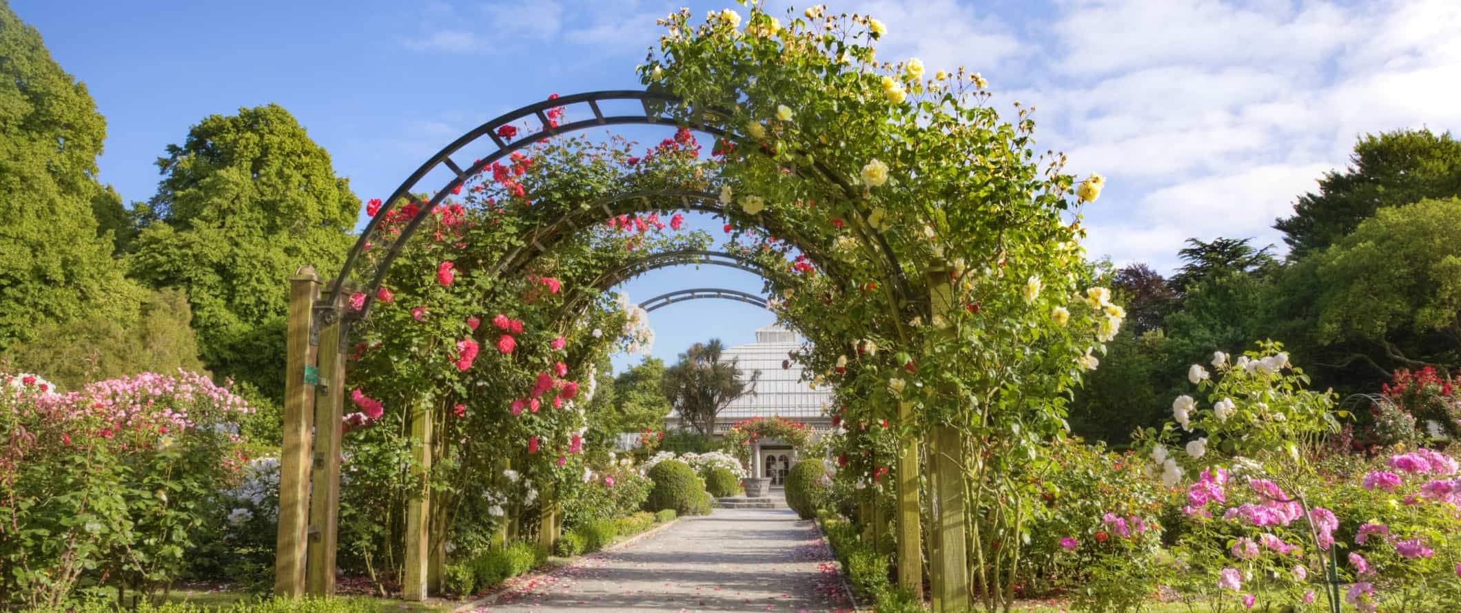 Um arco coberto de flores no Jardim Botânico de Christchurch, Nova Zelândia.
