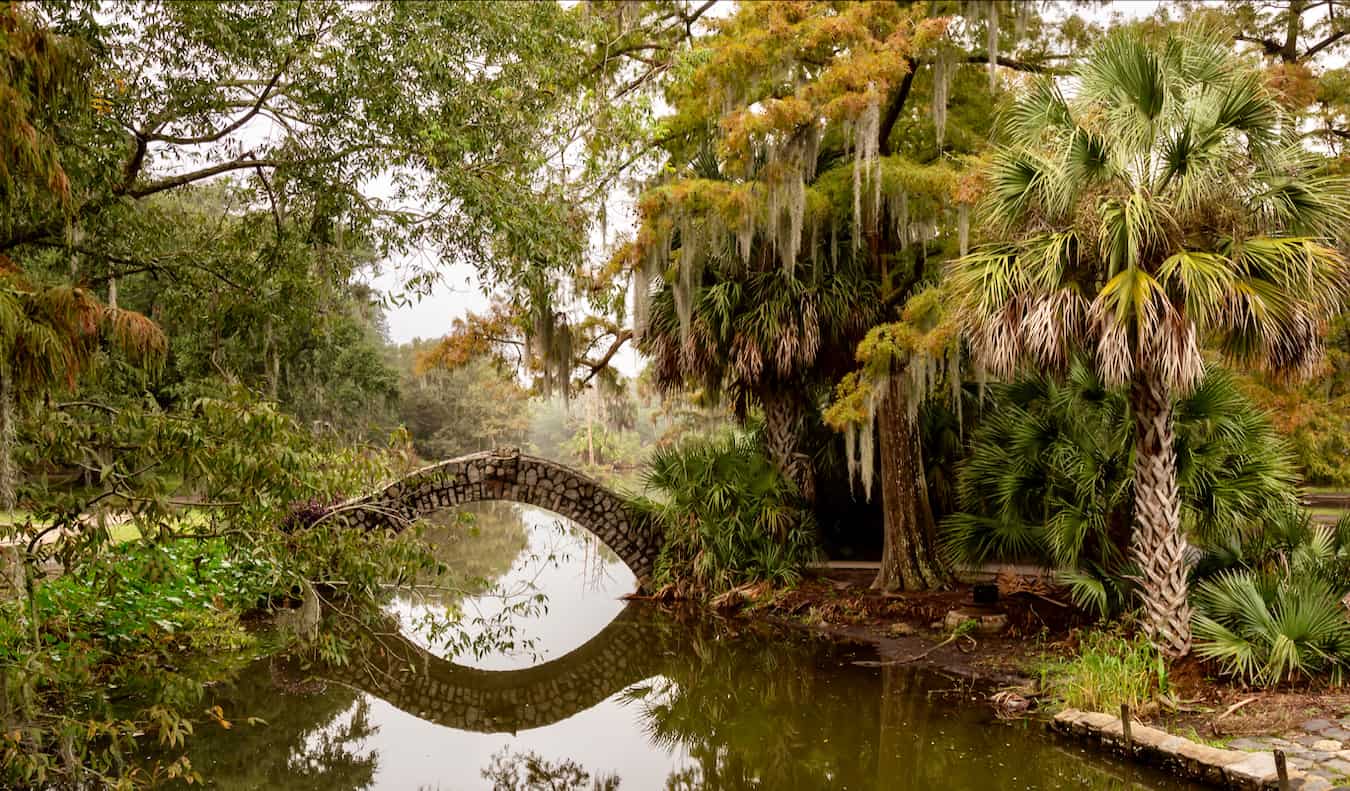A antiga ponte acima da água na exuberante vegetação do parque da cidade, o Nova Orleans.