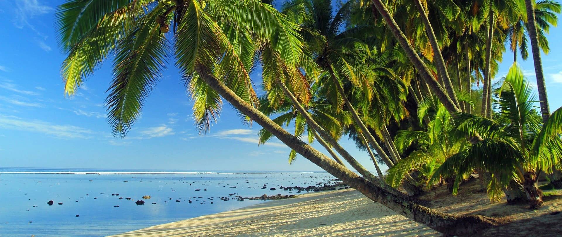 Palmeiras exuberantes se inclinam sobre uma praia arenosa na deslumbrante costa das Ilhas Cook