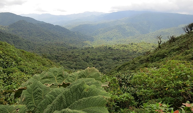 Jungle na Costa Rica ao lado do Arenal