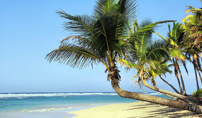 Cena tropical da praia em Cuba com palmeira