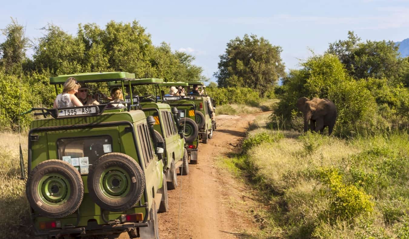 Vários jipes verdes estão viajando por Bush durante o Safari na África Oriental