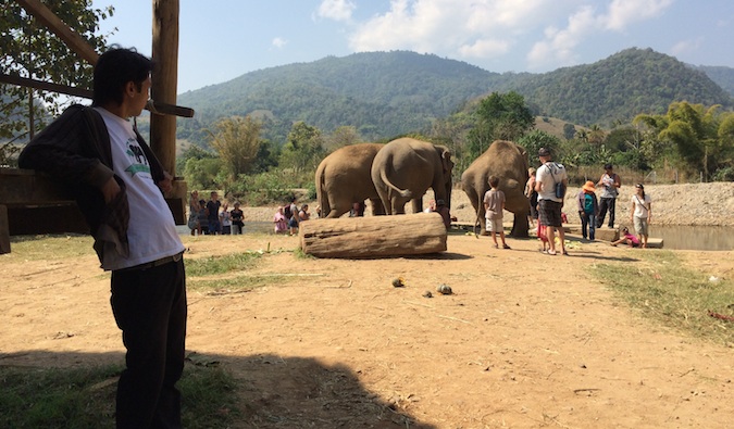 Viajantes no Parque Natural do Elephant Park Comuniqu e-se com um elefante