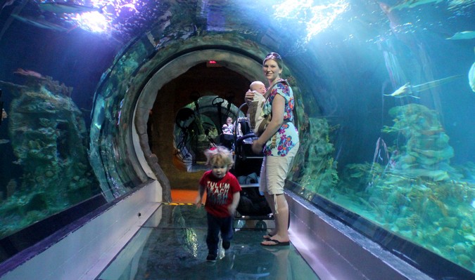 Mãe com crianças no túnel do aquário cercado por água e peixe