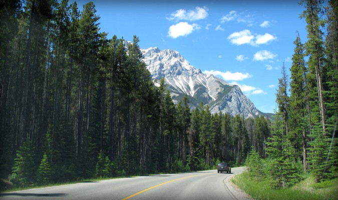 Estrada aberta, floresta livre e bela montanha