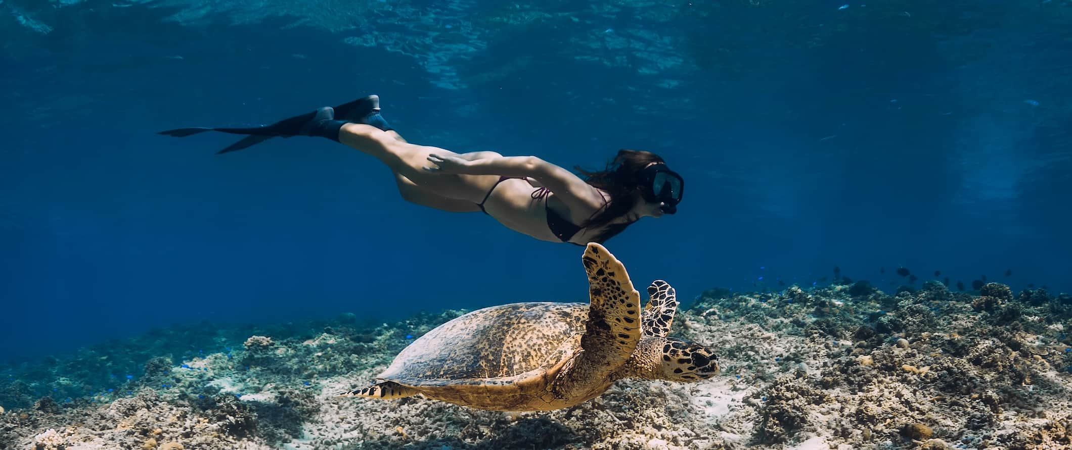Uma mulher nada com uma tartaruga marinha debaixo d'água nas ilhas Gili, Indonésia
