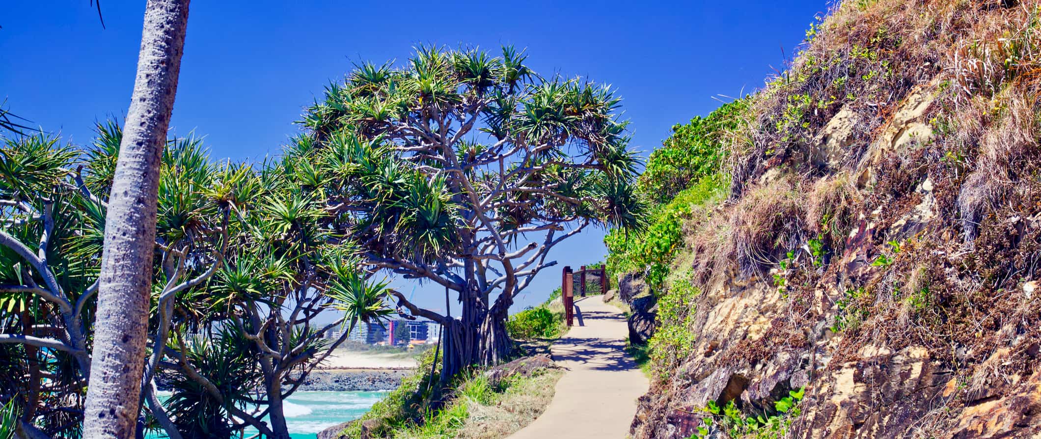 Uma trilha estreita em um dia ensolarado em Gold Coast, Austrália