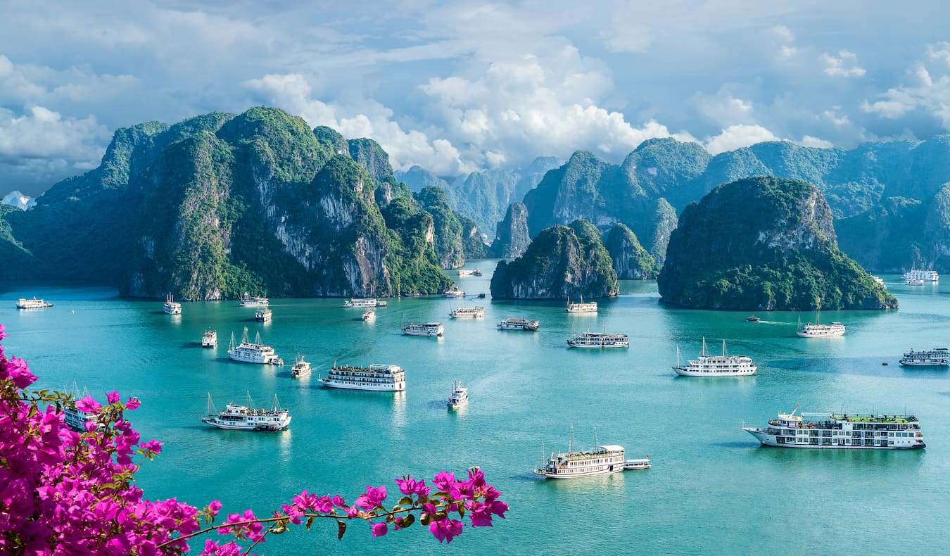 Deslumbrante Baía Ha Long no Vietnã com flores em primeiro plano