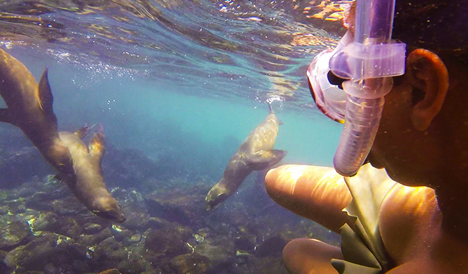Heiser está envolvido em snorkeling nas Ilhas Galápagos