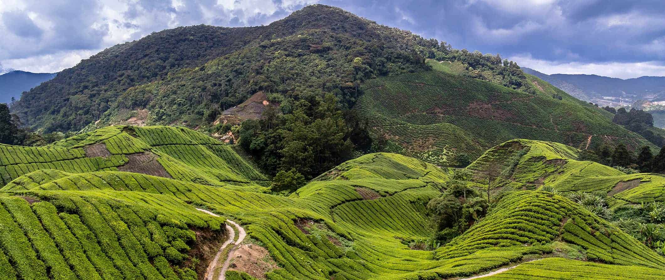 Vista deslumbrante das Terras Altas de Camron, Malásia e suas exuberantes colinas verdes