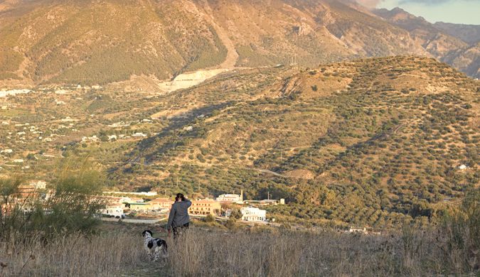 Caminhando com um cachorro nas colinas da Costa del Sol na Espanha enquanto fica na casa