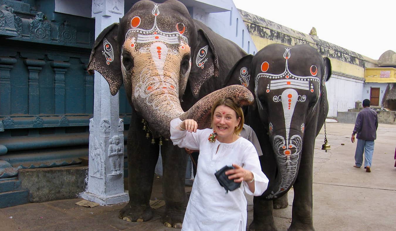 Uma mulher solteira na Índia fica perto de dois elefantes desenhados