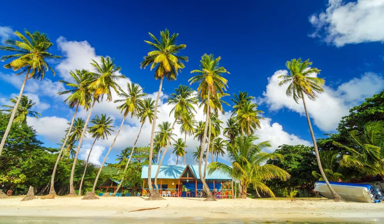 Cabana de praia colorida cercada por palmeiras em Providencia, Colômbia
