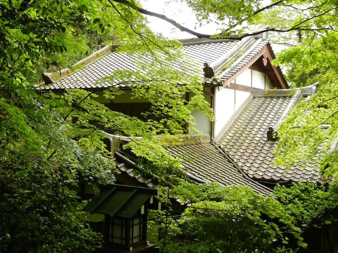 Templo Horakuji em Kyoto, Japão, obscurecido por árvores verdes exuberantes