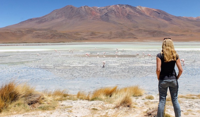 A mulher olha para os dados no deserto com flamingos