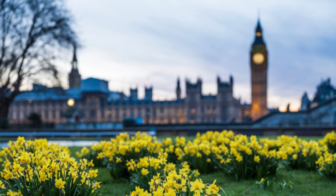 Flores brilhantes perto do Big Ben em Londres