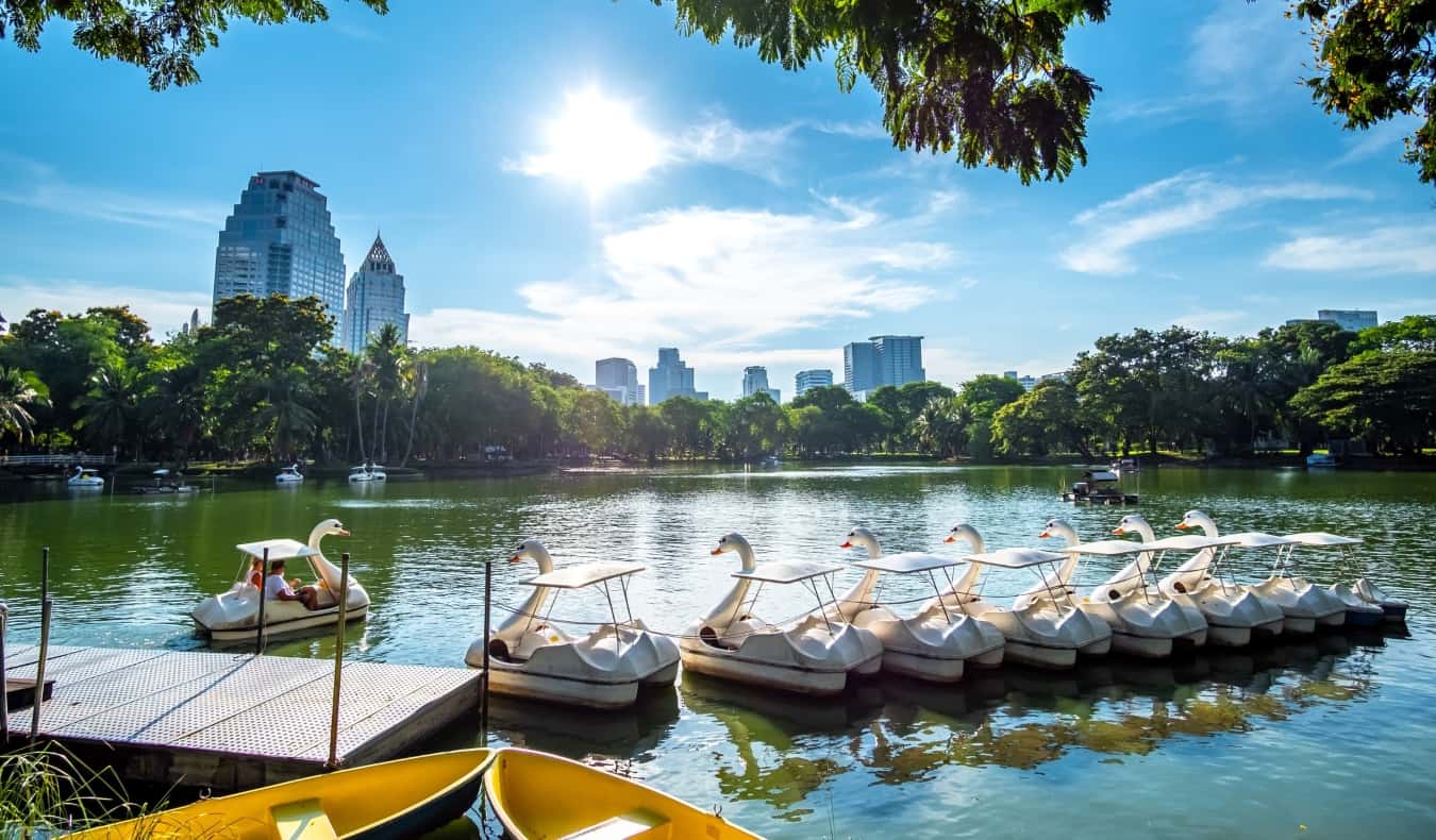 Barcos de cisne no lago com a cidade