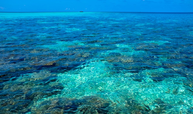 Águas transparentes das Maldivas