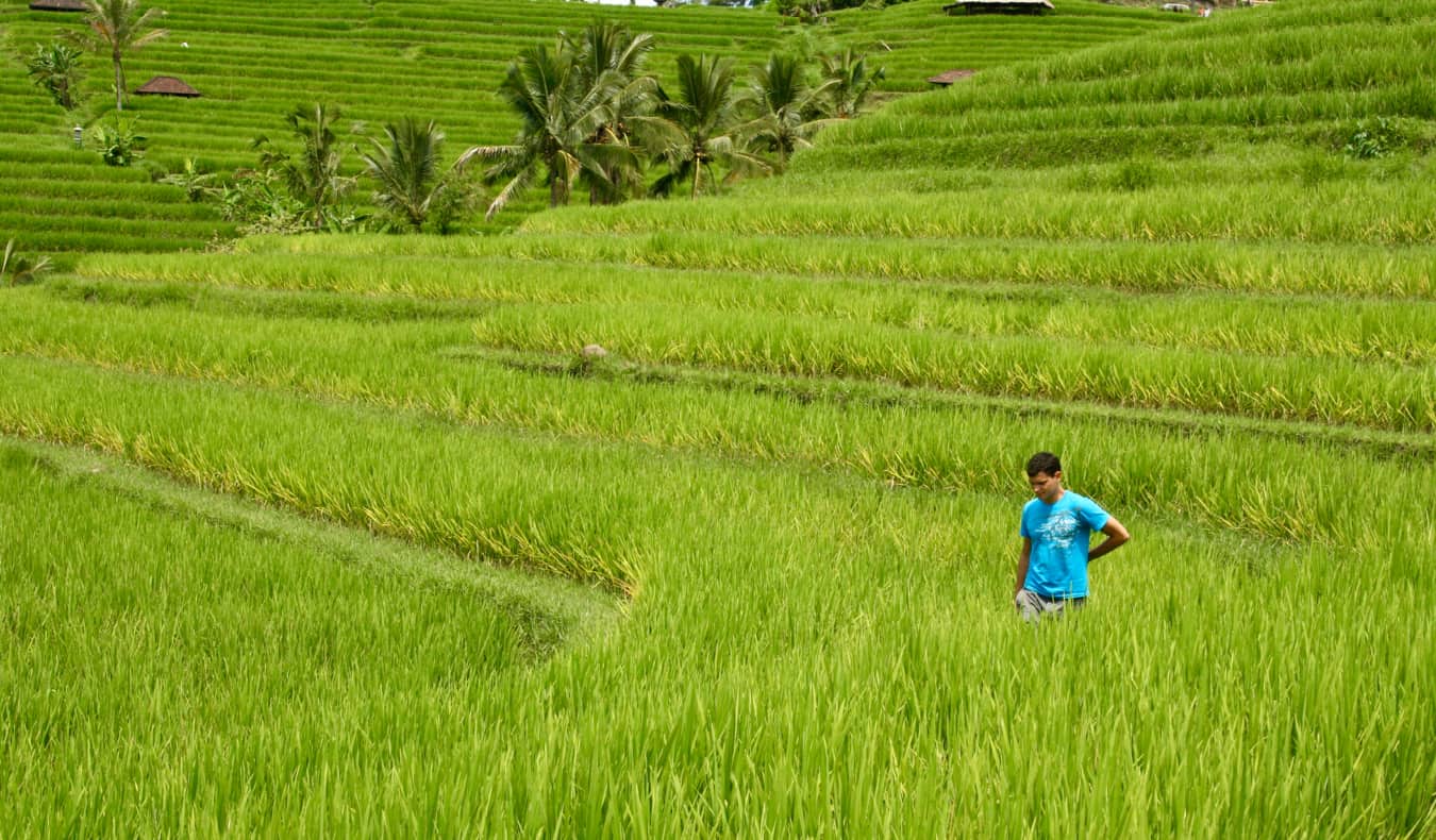 O Nomad Matt caminha pelo campo de arroz no Vietnã, viajando sozinho