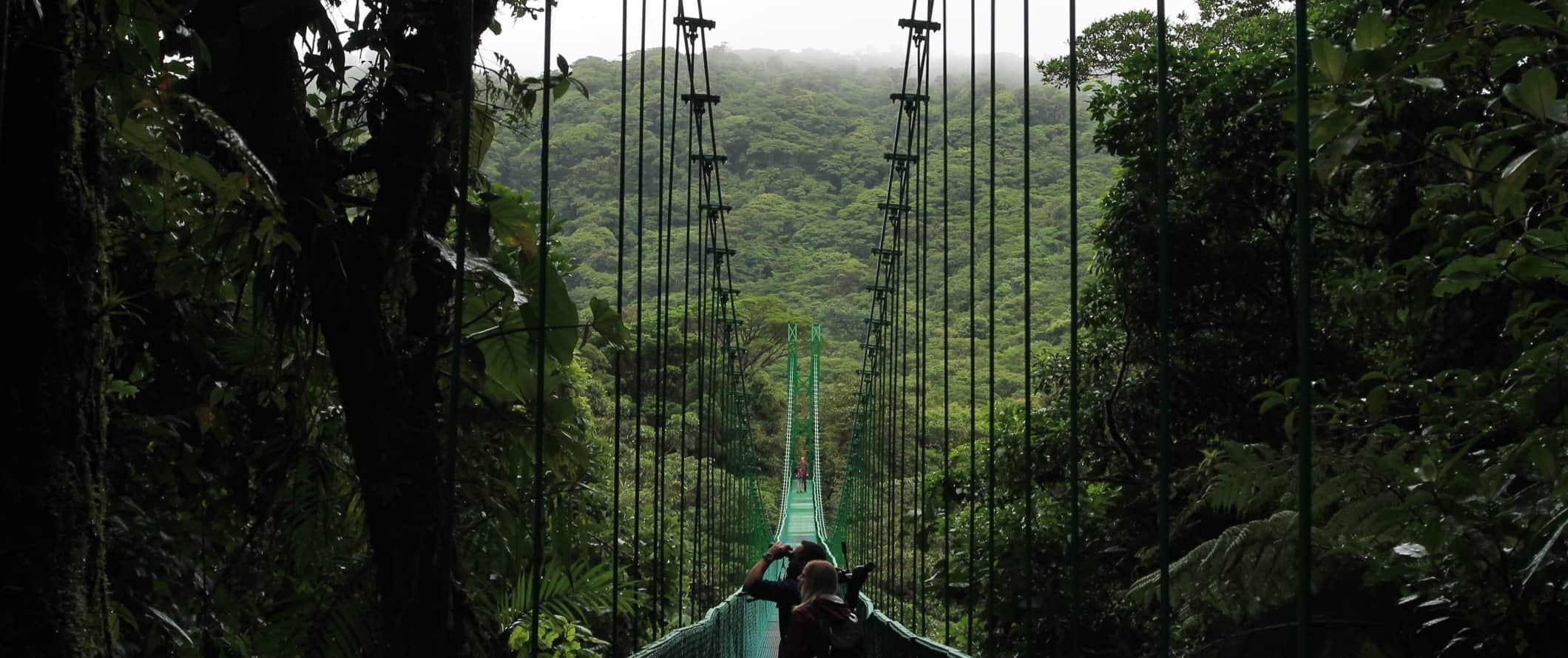 As pessoas andam ao longo da ponte suspensa na floresta nuvem de Monteverda, Costa Rica