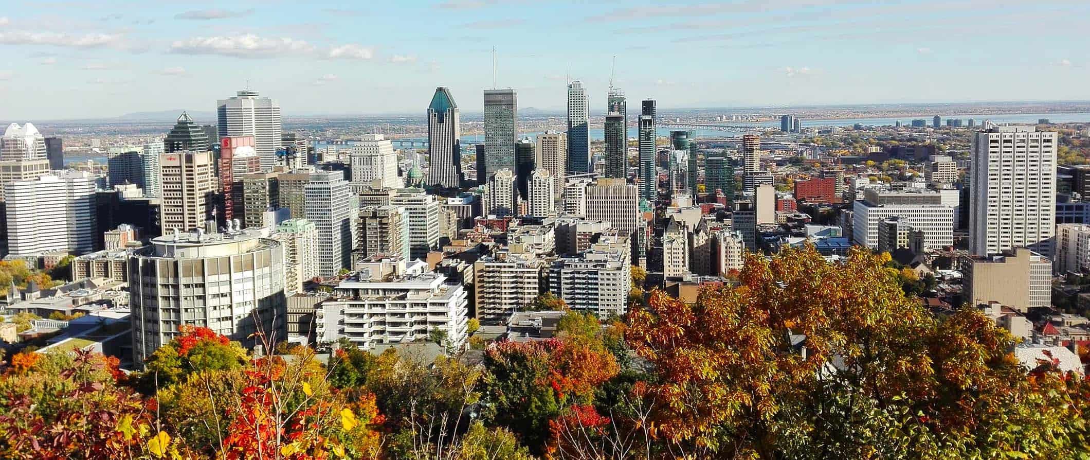 Vista de Montreal com Mont-Royal no outono com folhas vermelhas em primeiro plano