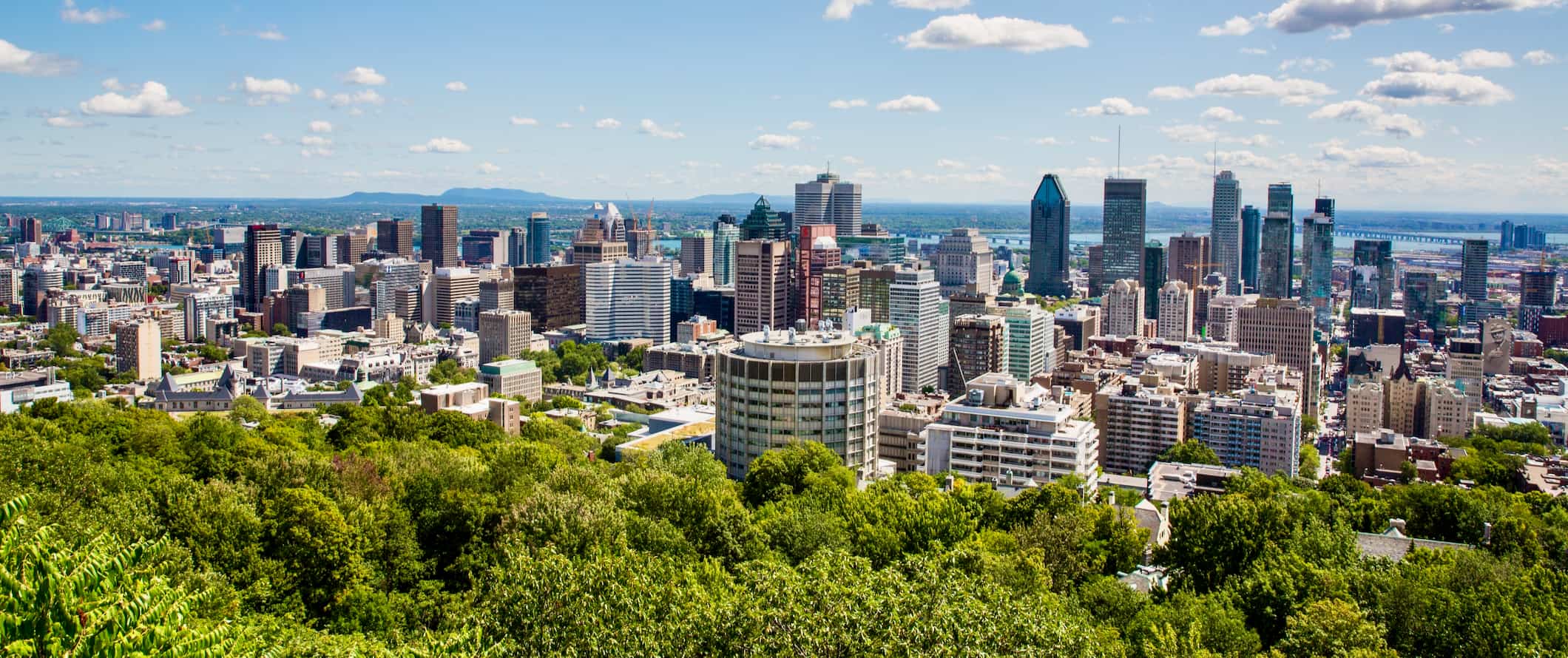 Vista de Montreal de Mon-Royal no verão com folhagem verde exuberante em primeiro plano.