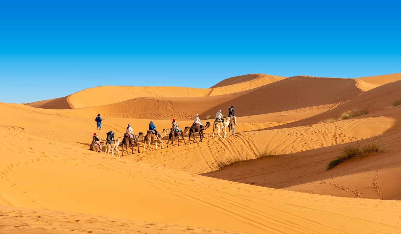 Uma série de pessoas que viajam em camelos pelo deserto