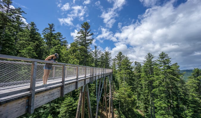 viajante solitária olhando para a beira de uma ponte na floresta