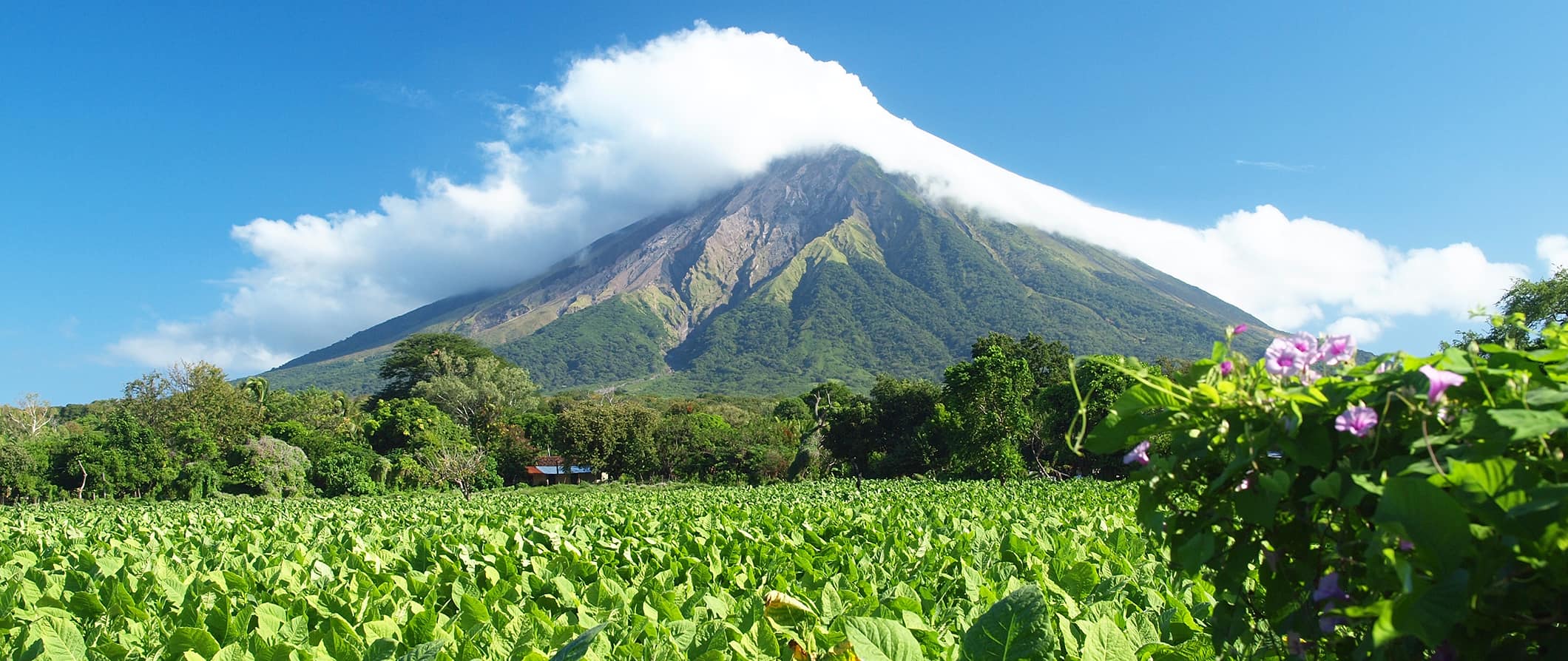 Vulcão imponente cercado por uma selva em um dia ensolarado brilhante na Nicarágua